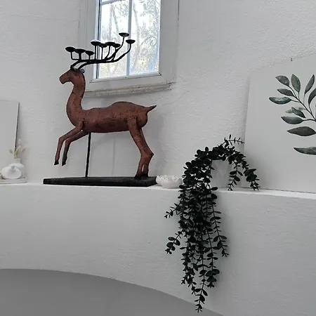 Anatolian House *